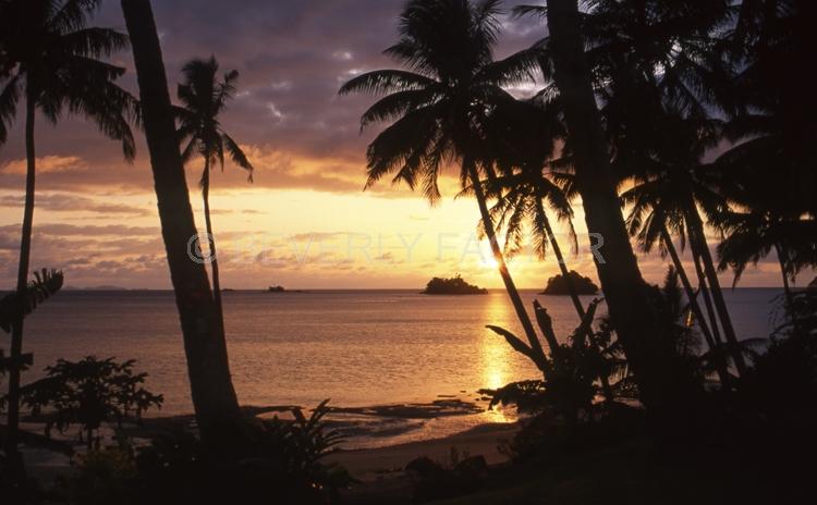 Island Sunsets;Bora Bora;Island;sunset;sky;clouds;yellow;water;red;palm trees;sillouettes;colorful
